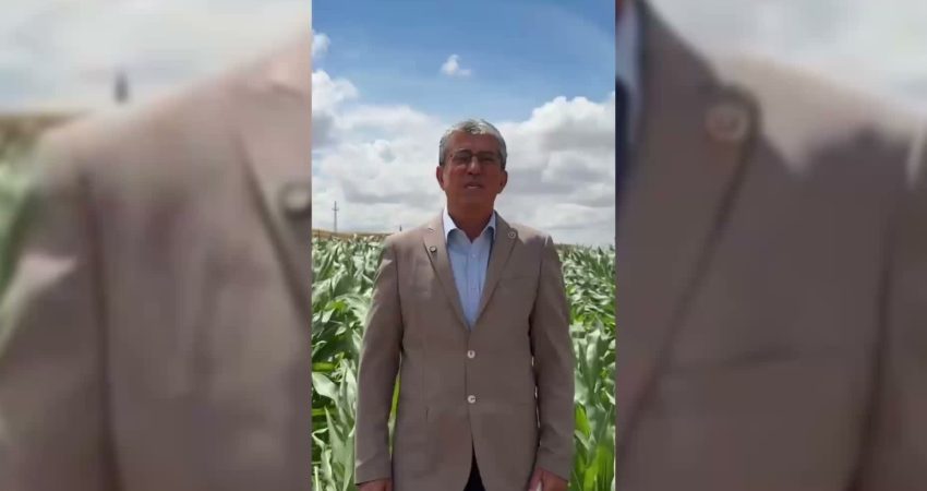 YENİ Parti Grup Başkanvekili Gökhan Günaydın, nohutun üreticilerin elinde kaldığını,