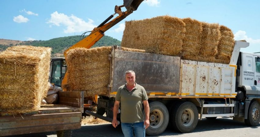 Balıkesir’in Gömeç ilçesinde belediye, geçtiğimiz haftalarda çıkan orman yangınından etkilenen