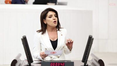 CHP Mersin Milletvekili Gülcan Kış, Hazine ve Maliye Bakanlığı'nın 2026 yılının