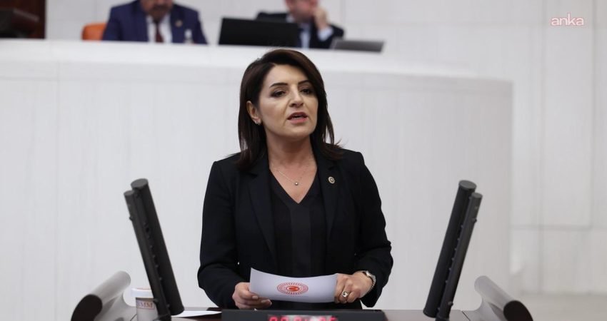 CHP Mersin Milletvekili Gülcan Kış, BDDK ve TCMB verilerine göre