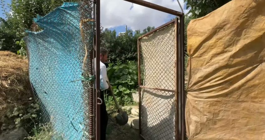 Hakkâri'de üç kez "Yılın Çiftçisi" seçilen sebze ve meyve üretimi yapan