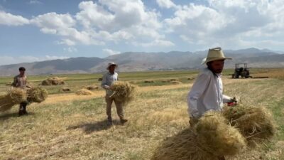 Hakkari’nin Yüksekova ilçesine bağlı Dedeler köyünde çiftçilik ve hayvancılıkla geçinen