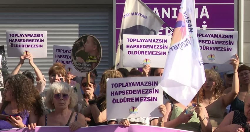 Hayvan hakları savunucuları, kamuoyunda “katliam yasası” olarak anılan 7527 sayılı