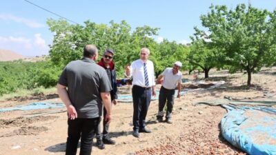 Malatya’nın Hekimhan ilçesine bağlı Kocaözü Mahallesi’nde iki gün boyunca etkili