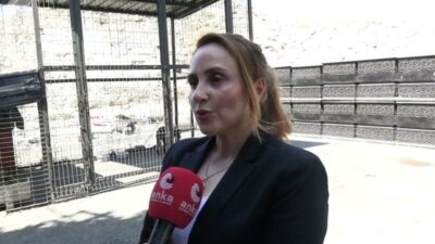 İstanbul Büyükşehir Belediyesi (İBB) iştiraklerinden İstanbul Ağaç ve Peyzaj AŞ,