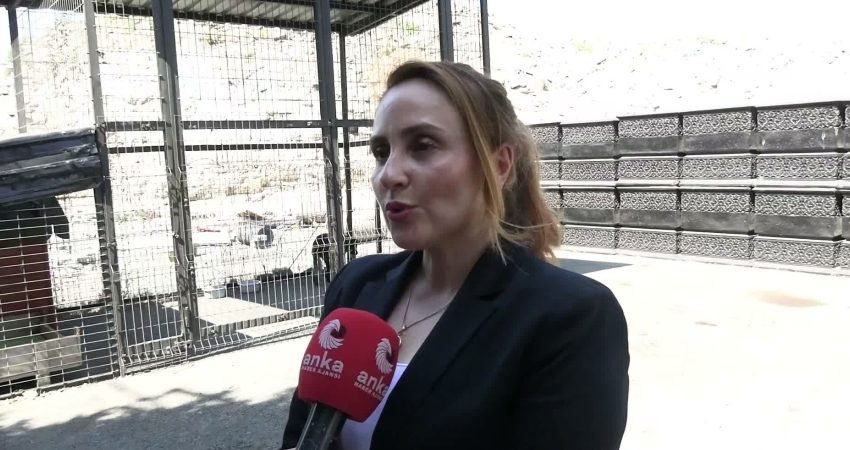 İstanbul Büyükşehir Belediyesi (İBB) iştiraklerinden İstanbul Ağaç ve Peyzaj AŞ,