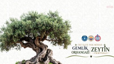 Gemlik ve Orhangazi’nin zeytin kültürü, “İki İlçe, Tek Miras” sloganıyla
