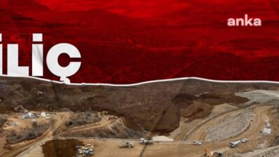 Sedat Cezayirlioğlu, Ege Çevre ve Kültür Platformu (EGEÇEP) Derneği ve