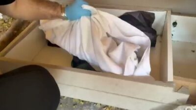 İstanbul’da iki kundaklama ve bir iş yeri kurşunlama olayına karıştığı