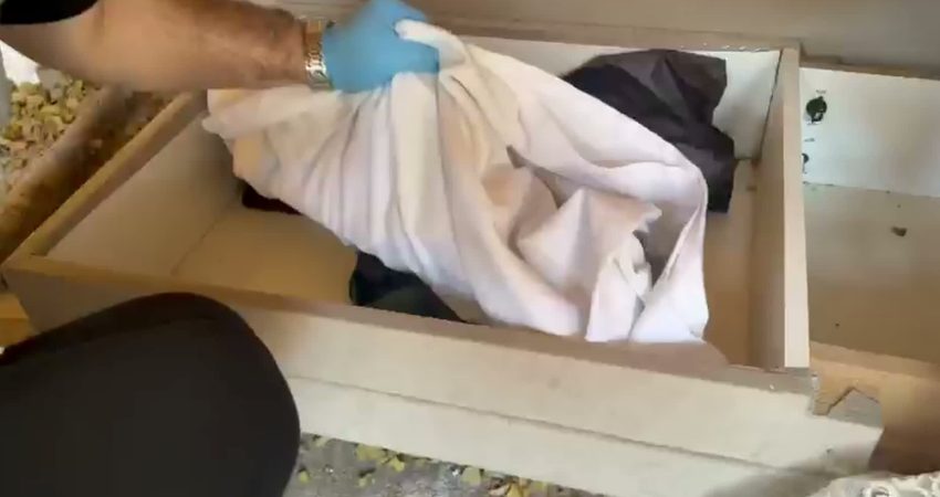 İstanbul’da iki kundaklama ve bir iş yeri kurşunlama olayına karıştığı