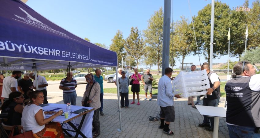İzmir Büyükşehir Belediyesi’nden Efes Selçuklu incir üreticisine destek İzmir Büyükşehir Belediyesi Tarımsal Hizmetler Dairesi Başkanlığı tarafından Efes Selçuk’taki