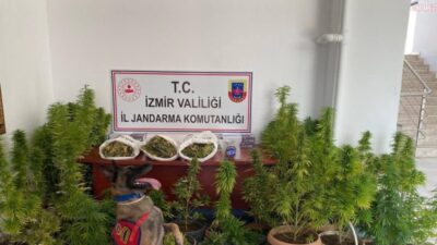 İzmir’in Kiraz, Urla ve Karabağlar ilçelerinde jandarma ekiplerince düzenlenen operasyonlarda
