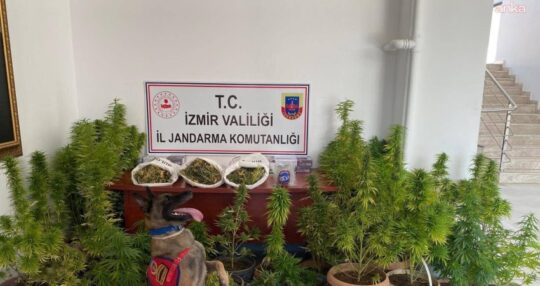 İzmir’de Jandarmadan uyuşturucu operasyonu: 8 kilo 339 gram esrar ele geçirildi İzmir’in Kiraz, Urla ve Karabağlar ilçelerinde jandarma ekiplerince düzenlenen operasyonlarda