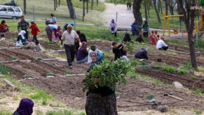 İzmir Büyükşehir Belediyesi’nin, kentte tarımı teşvik eden ve kadın emeğini