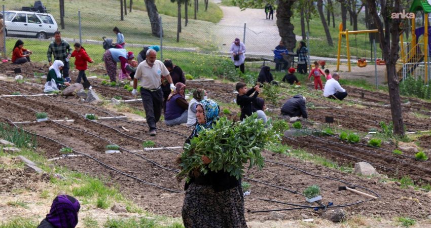 İzmir Büyükşehir Belediyesi’nin, kentte tarımı teşvik eden ve kadın emeğini