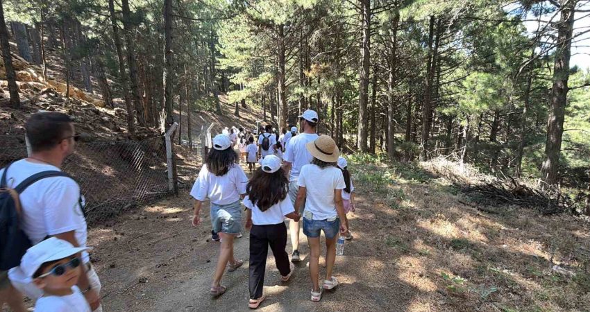 Tarım ve Orman Bakanlığı Doğa Koruma ve Millî Parklar Genel