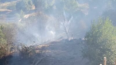 Malatya'nın Darende ilçesine bağlı Yeşiltaş Mahallesi'nde bahçede çıkan ve rüzgarın