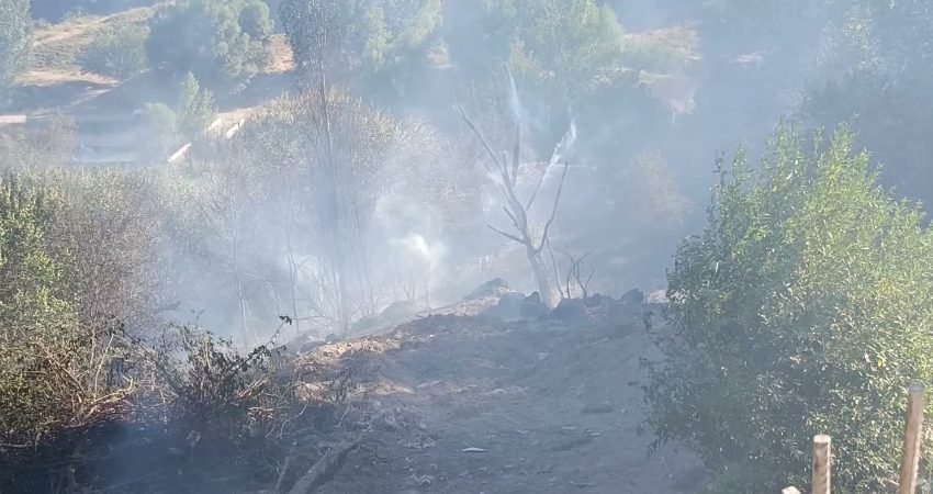 Malatya'nın Darende ilçesine bağlı Yeşiltaş Mahallesi'nde bahçede çıkan ve rüzgarın