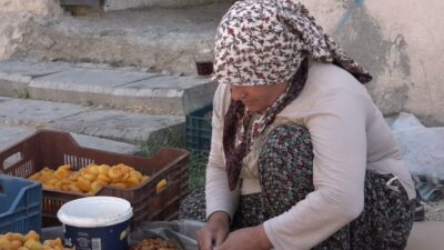 Malatya’da kayısı üreticileri, yükselen girdi ve işçilik maliyetlerine rağmen kuru