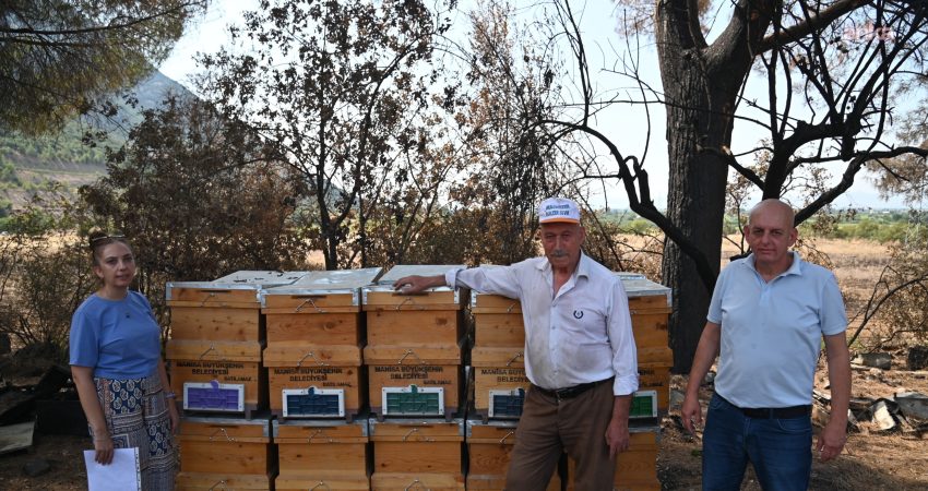 Manisa Büyükşehir Belediyesi, Şehzadeler ilçesinde çıkan yangında arı kovanları zarar