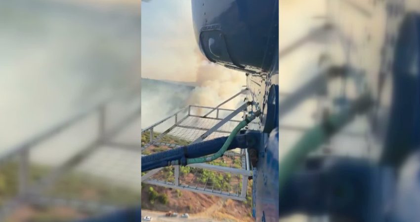 Manisa’nın Kula ilçesi Seyitali Mahallesi'nde tarım arazisinde çıkan ve ormanlık