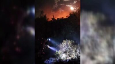 Manisa’nın Kula ilçesi Seyitali Mahallesi'nde tarım arazisinde çıkan ve ormanlık