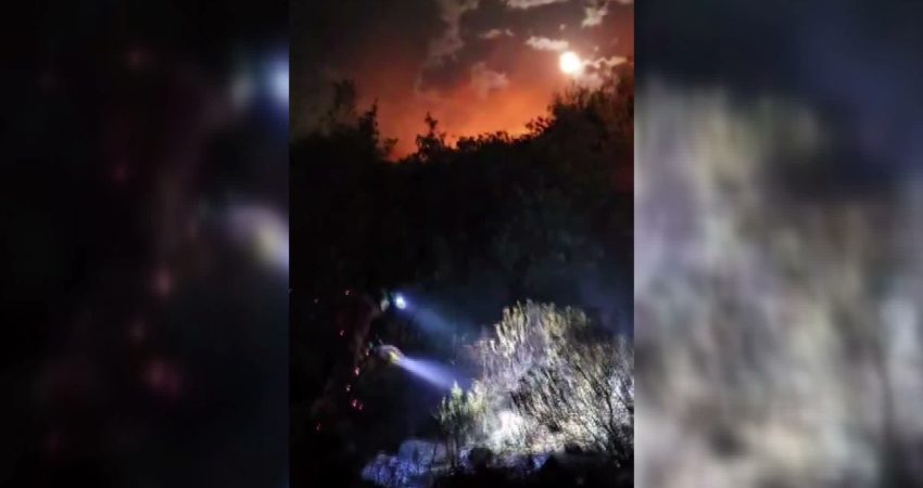 Manisa’nın Kula ilçesi Seyitali Mahallesi'nde tarım arazisinde çıkan ve ormanlık