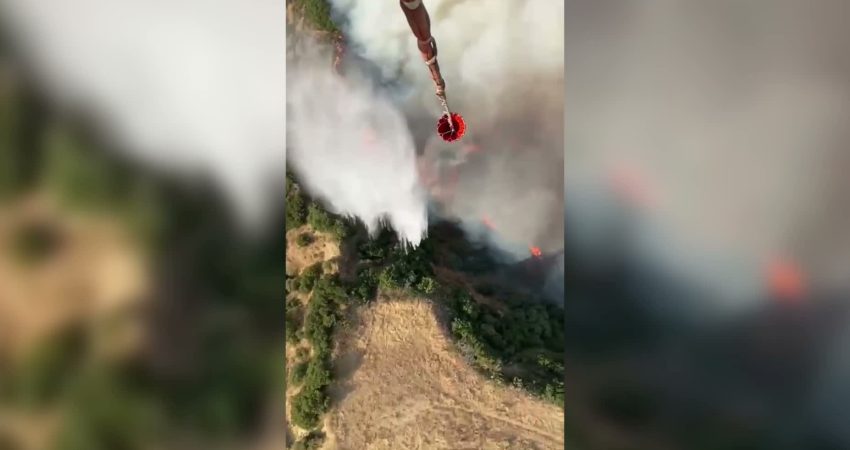 Manisa’nın Turgutlu ilçesinde makilik alanda yangın çıktı. Ekipler, yangını kontrol
