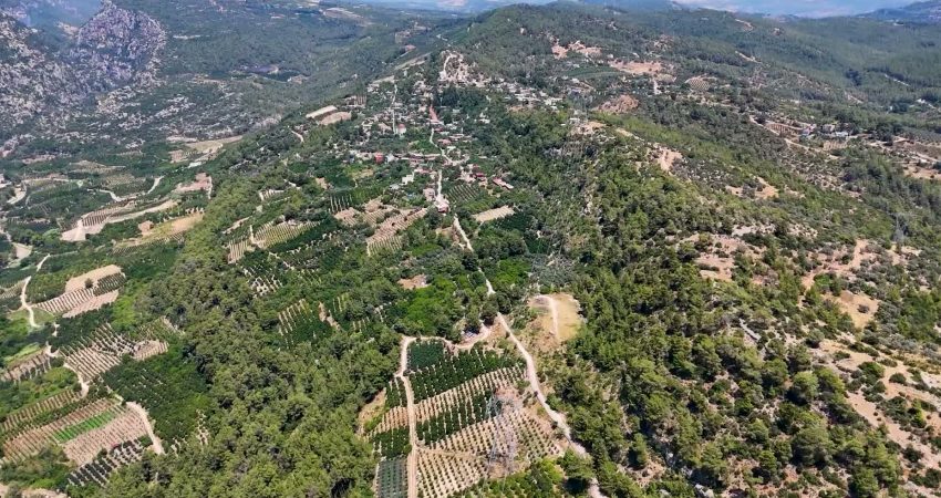 Mersin Büyükşehir Belediyesi Tarımsal Hizmetler Dairesi Başkanlığı tarafından yürütülen “Sulama