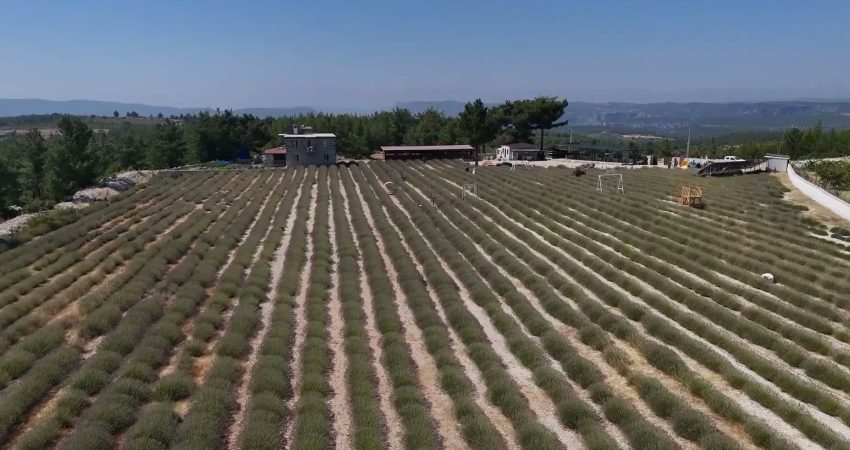 Mersin’de kadın girişimcilerin hayali Büyükşehir Belediyesi’nin desteğiyle büyüyor Mersin Büyükşehir Belediyesi, kadınların ekonomik hayatta daha güçlü yer almasını