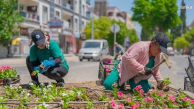 Milas Belediyesi, kent estetiğine katkı sağlamak ve dinlenme alanlarını modernize