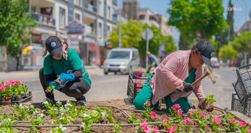 Milas Belediyesi, kent estetiğine katkı sağlamak ve dinlenme alanlarını modernize