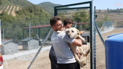 Mudanya Belediyesi, Altıntaş Doğal Yaşam Alanı’nı büyüttü. Eklenen bölümle 8