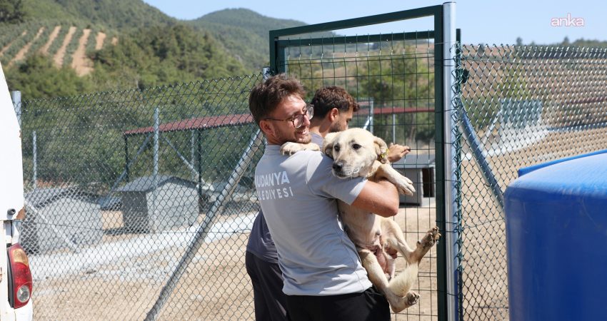 Mudanya’da can dostların yaşam alanı büyüyor Mudanya Belediyesi, Altıntaş Doğal Yaşam Alanı’nı büyüttü. Eklenen bölümle 8