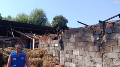 Muğla Büyükşehir Belediyesi, Ortaca’nın Okçular Mahallesi’nde çıkan ahır yangınında 500
