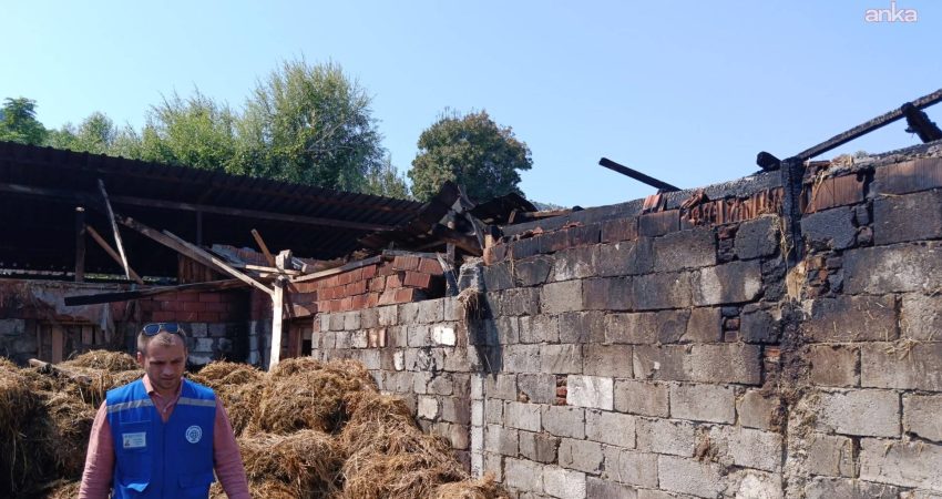 Muğla Büyükşehir Belediyesi’nden yangından zarar gören üreticiye destek Muğla Büyükşehir Belediyesi, Ortaca’nın Okçular Mahallesi’nde çıkan ahır yangınında 500