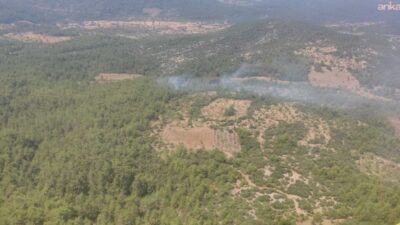 Muğla’nın Menteşe ilçesine bağlı Çiftlik Mahallesi yakınlarında çıkan yangın, ekiplerin