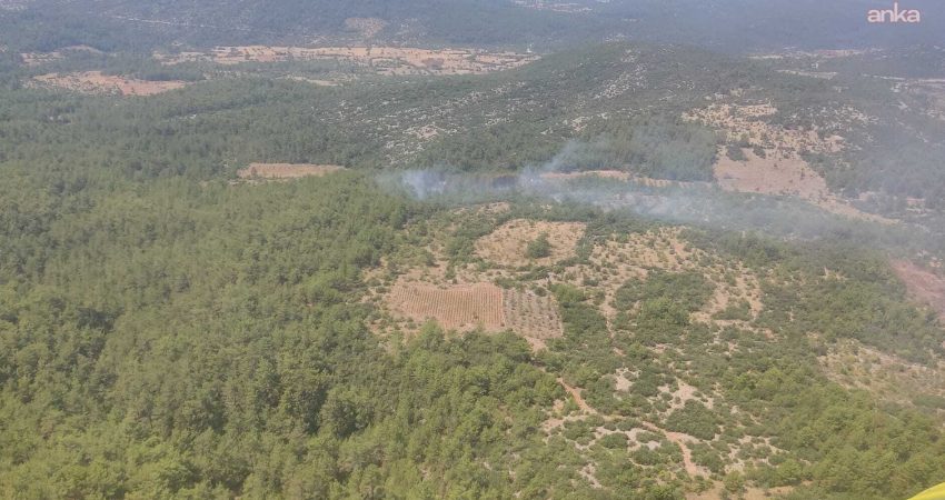Muğla’nın Menteşe ilçesine bağlı Çiftlik Mahallesi yakınlarında çıkan yangın, ekiplerin