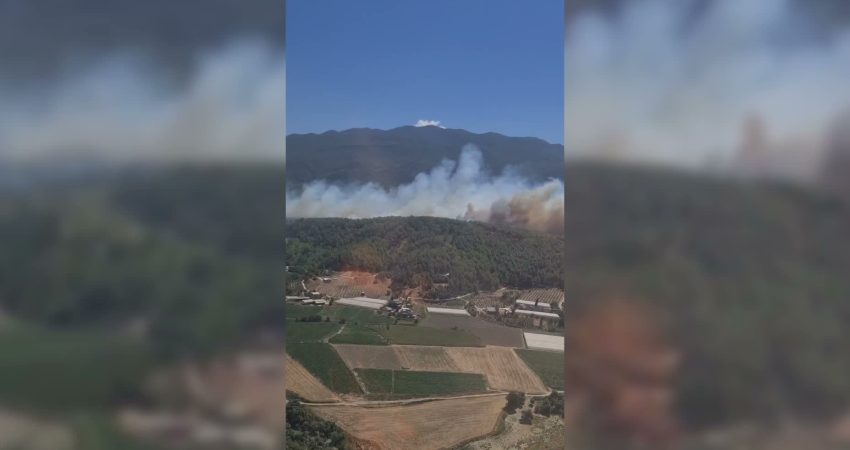 Muğla’nın Seydikemer ilçesinde ziraat arazisinde başlayan yangın, şiddetli rüzgarın etkisiyle