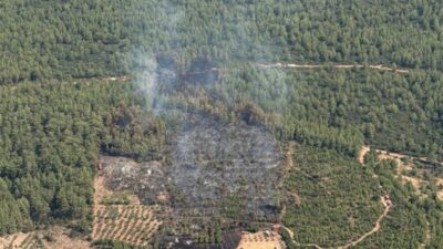 Muğla'nın Yatağan ilçesi Kadıköy Mahallesi yakınlarında ziraat alanında başlayarak rüzgarın