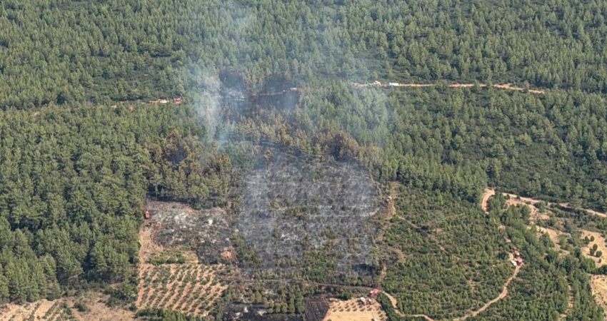 Muğla'nın Yatağan ilçesi Kadıköy Mahallesi yakınlarında ziraat alanında başlayarak rüzgarın