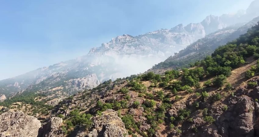 Tunceli’de, Munzur Vadisi Milli Parkı sınırları içerisinde bulunan Venk bölgesinde