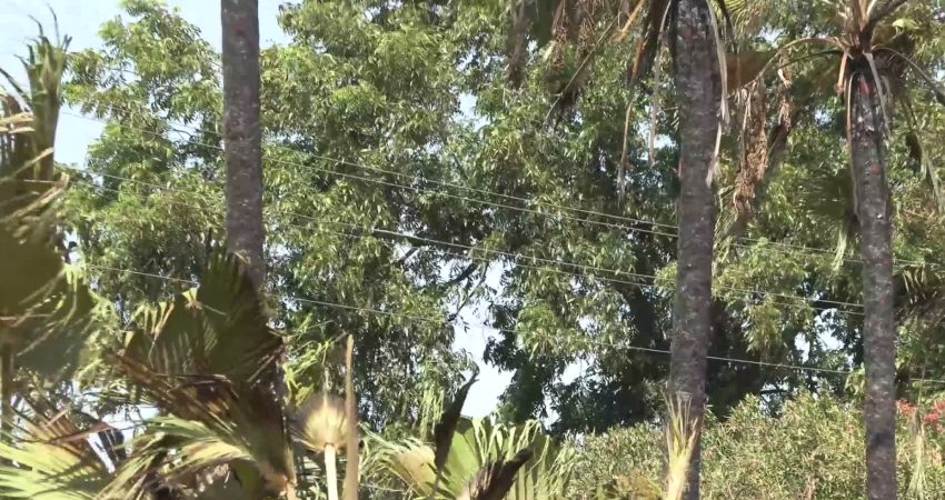 Muratpaşa Belediye Başkanı Ümit Uysal, Doğuyaka Mahallesi’nde dün çıkan yangının