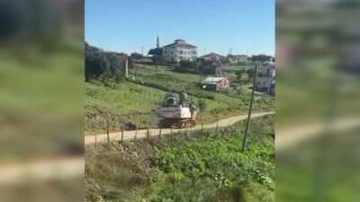 Ordu’nun Aybastı ilçesindeki Perşembe Yaylası ile Korgan Turnalık Yaylası hattında