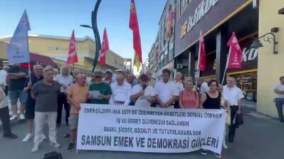 Samsun Emek ve Demokrasi Güçleri, son dönemde baskı, şiddet, demokrasi