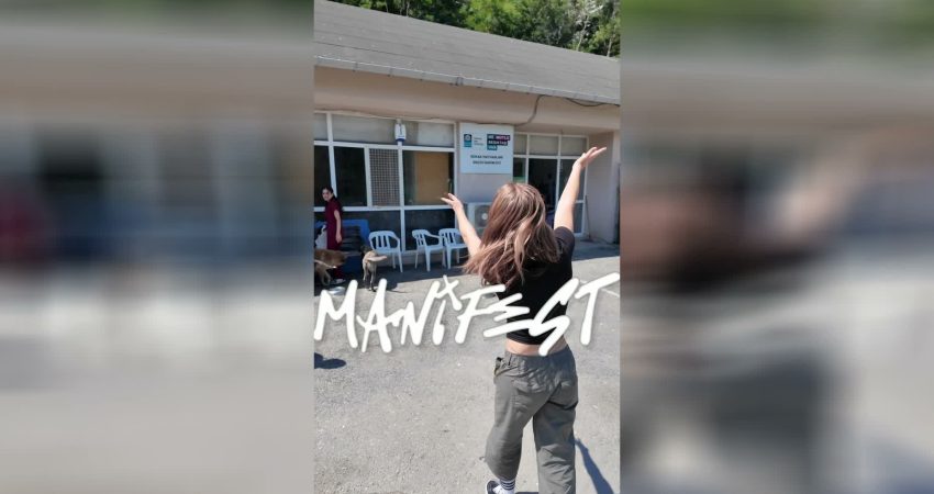 Beşiktaş Belediyesi engelli kedi ünitesi, can dostları sıcak yuvalarla buluşturmaya