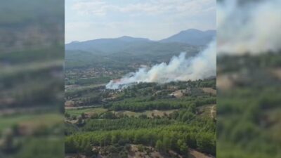 Muğla’nın Seydikemer ilçesi Sahilceylan Mahallesi yakınlarında orman yangını çıktı.