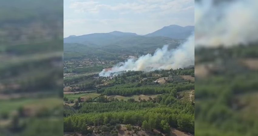 Muğla’nın Seydikemer ilçesi Sahilceylan Mahallesi yakınlarında orman yangını çıktı.
