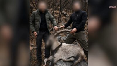 Tarım ve Orman Bakanlığı, 6 yıl önce Siirt'te koruma altındaki