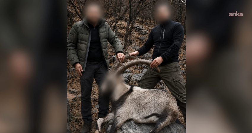 Tarım ve Orman Bakanlığı, 6 yıl önce Siirt'te koruma altındaki